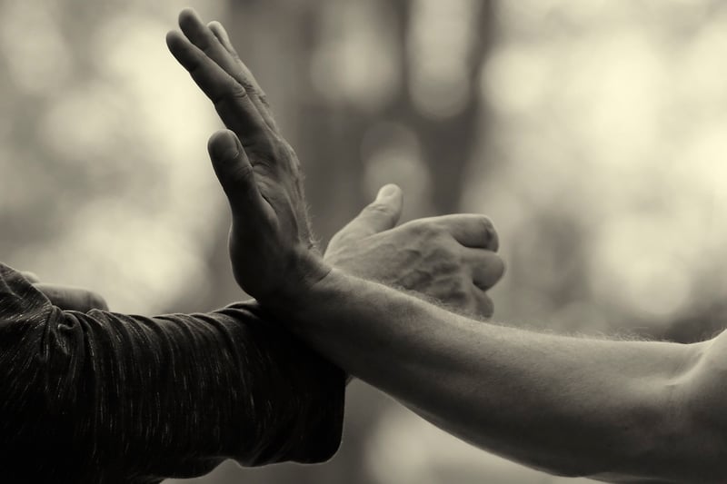 Tai Chi Workshops